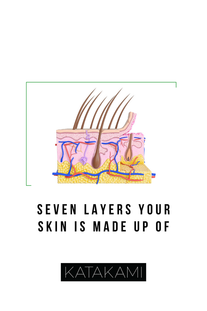 Seven Layers Your Skin Is Made Up Of